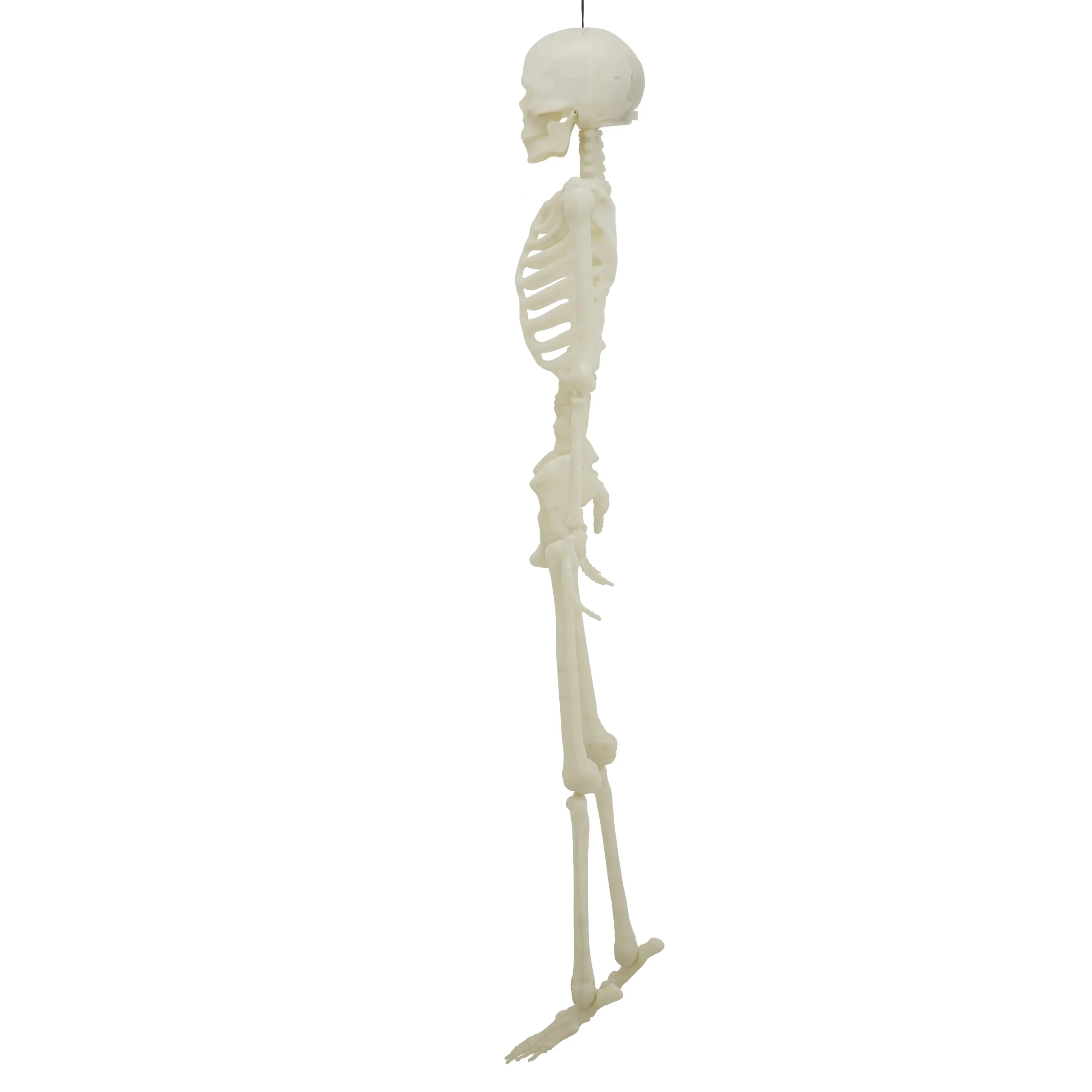 Light-Up LED Poseable Skeleton, Multicolor, 5', Halloween by Way To Celebrate - Image 4