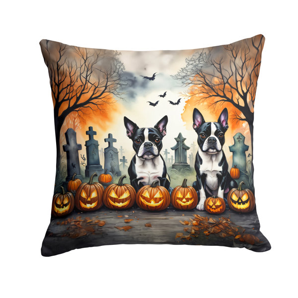 Outdoor Throw Pillow