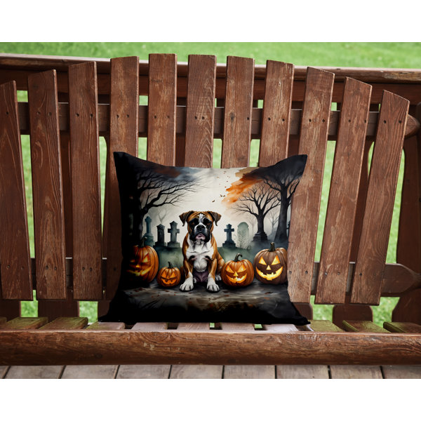 Outdoor Throw Pillow