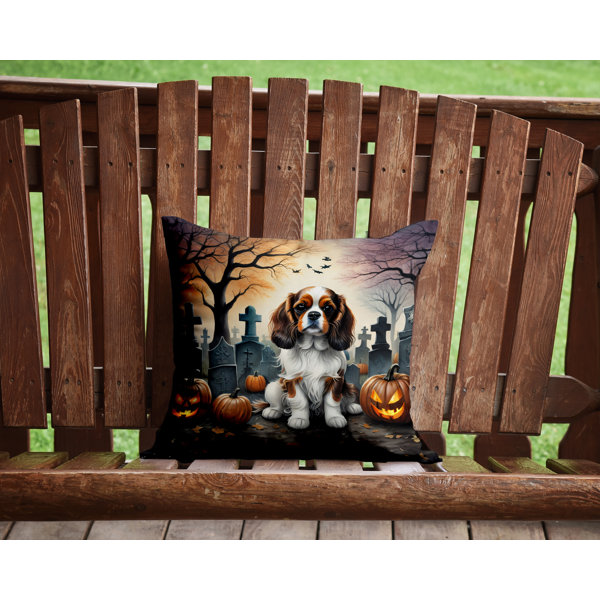 Outdoor Throw Pillow