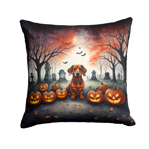 Outdoor Throw Pillow