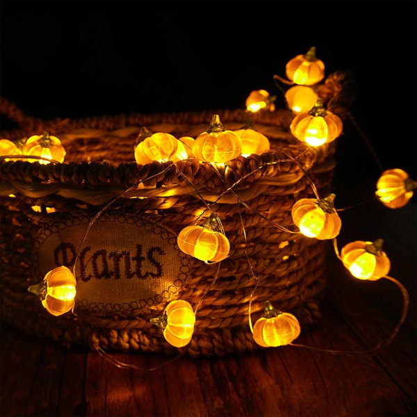 3.43 ” Indoor / Outdoor String Lights