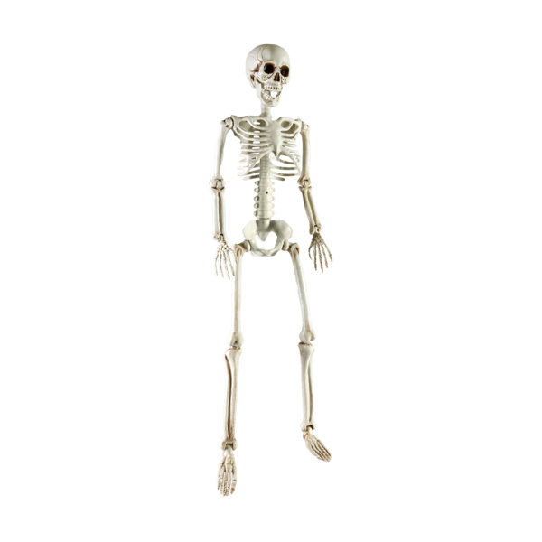 The Holiday Aisle® 35″ Hanging Skeleton Decoration, Realistic Skeleton With Adjustable Plastic Bones For Indoor & Outdoor Halloween Decorating, Perfect For Haunted House & Graveyard Decoration, Single