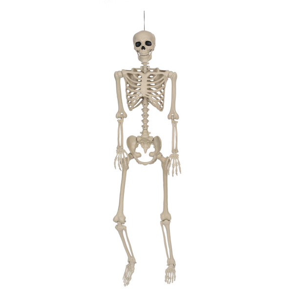 5 ft. Skeleton Halloween Decor
