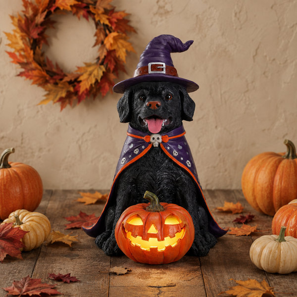 Lighted Resin Halloween Black Dog Floor Decorative Accent with Jack-O’-Lantern for Covered Porch and Entryway